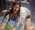 Charmi www.malluking.tk