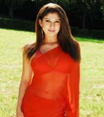 Nayanthara-hot-in-Saree